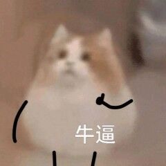 传奇人设列表 你属于哪一种？